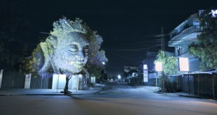 Projection sur arbre au Cambodge